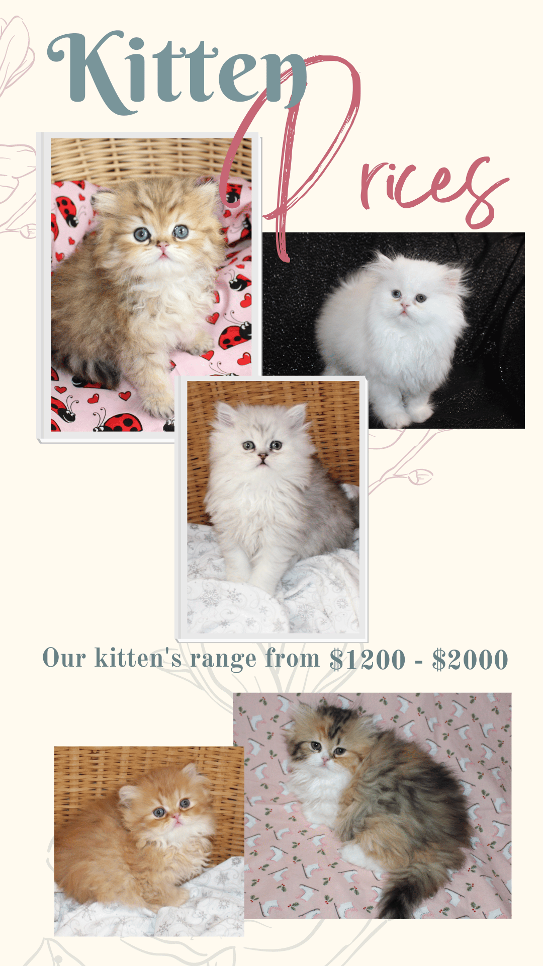 Image of prices